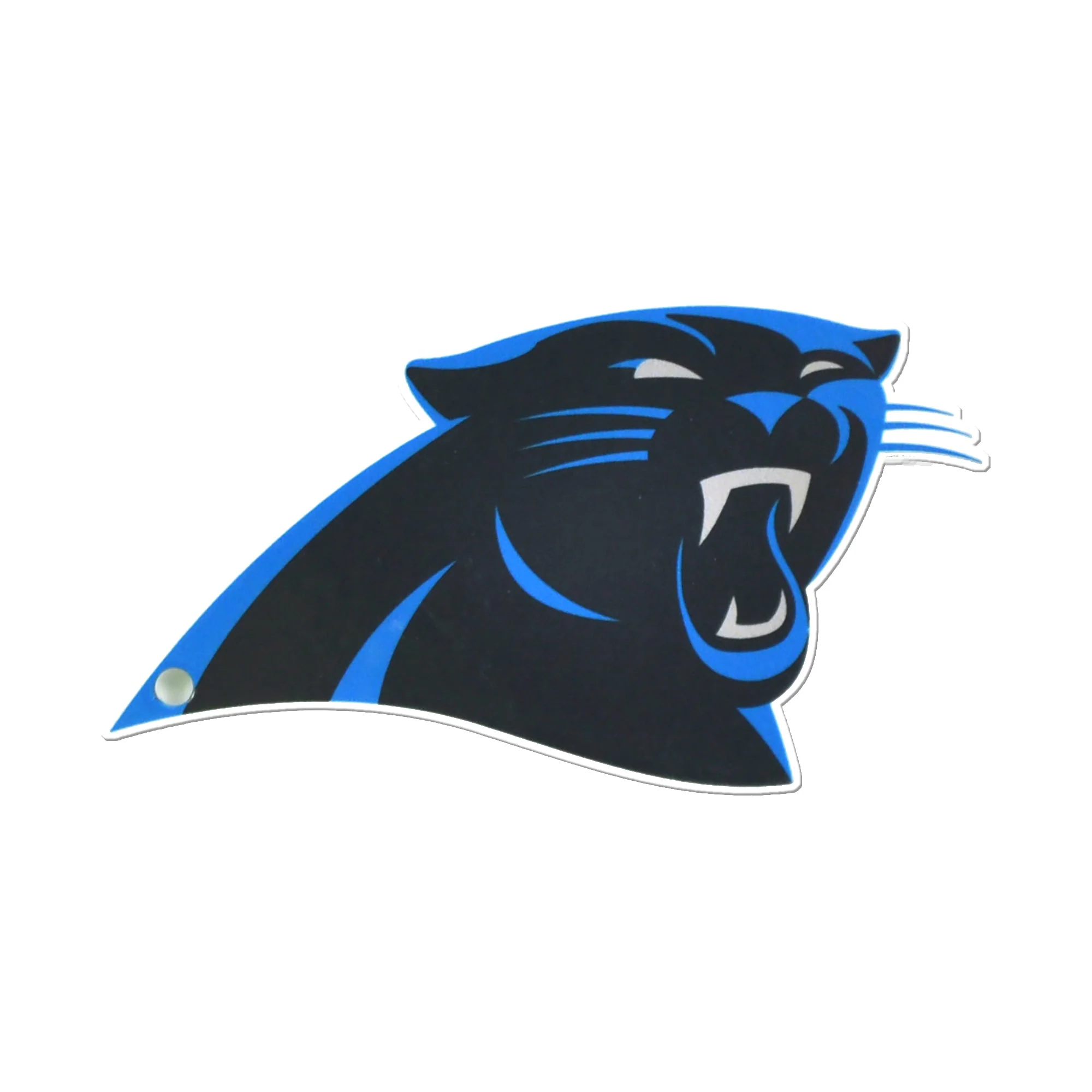 Carolina Panthers Steel Super Magnet