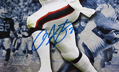 Arian Foster Ben Tate Autographed 16x20 Multi Shot Photo- JSA Authenticated - Image 2