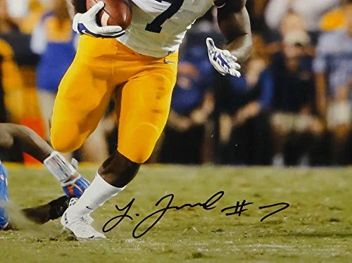 Leonard Fournette Signed LSU Tigers 16x20 Running Over Florida Photo-JSA W Auth - Image 2