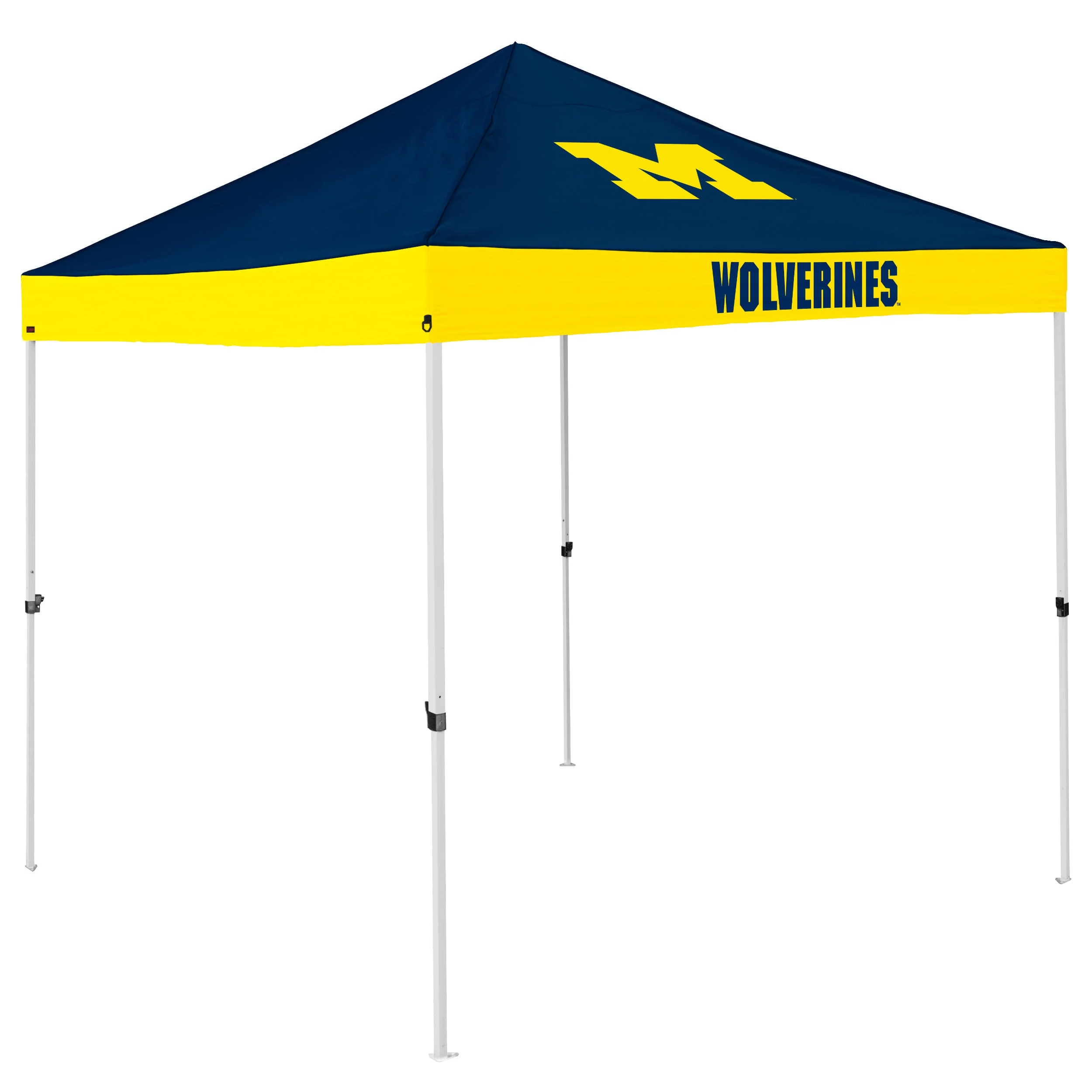 Michigan Economy Canopy