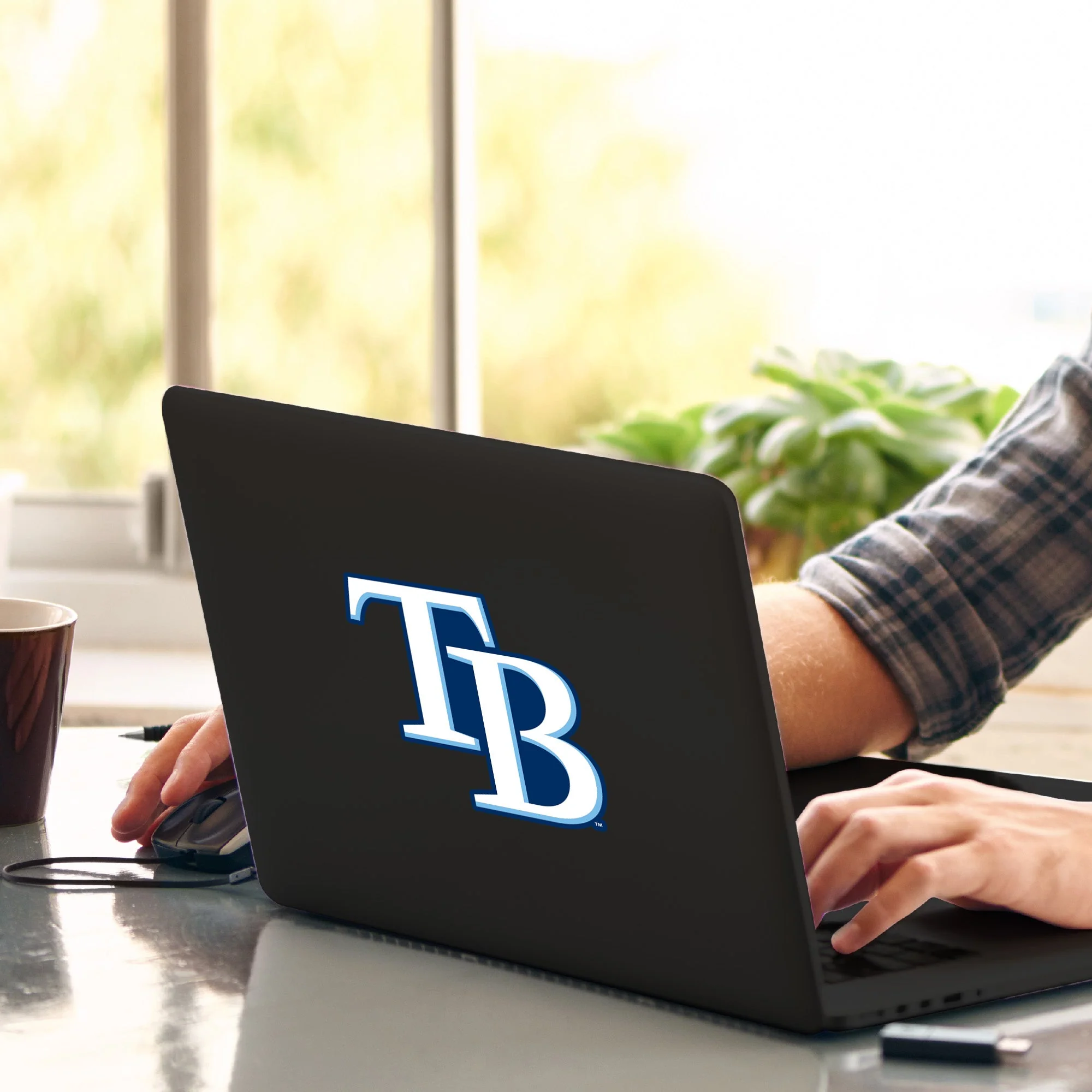 MLB - Tampa Bay Rays Matte Decal - Image 2