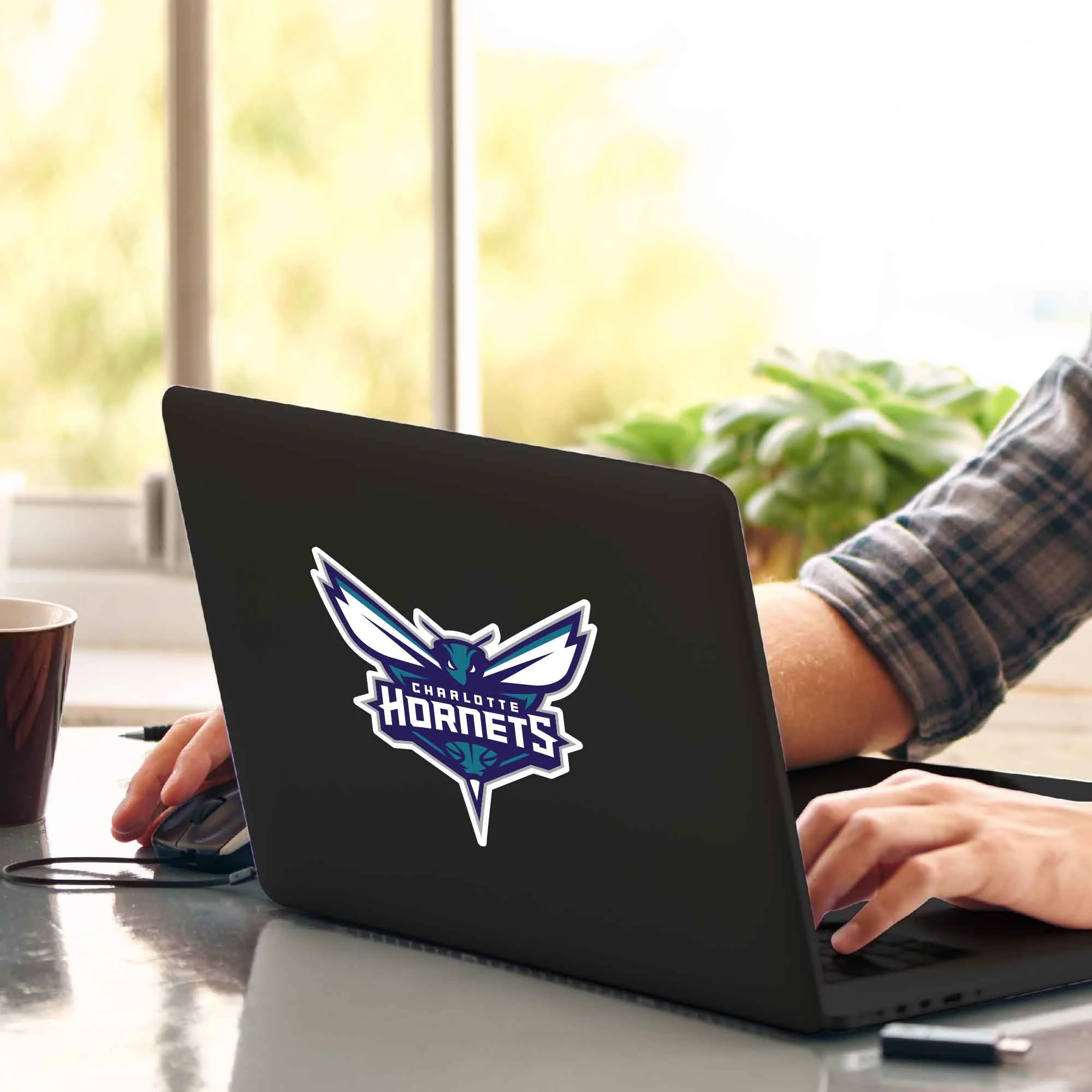 NBA - Charlotte Hornets Matte Decal - Image 2