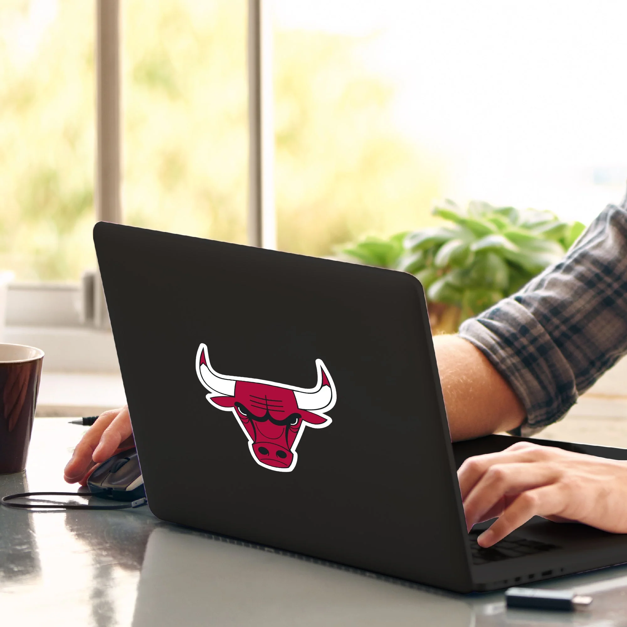 NBA - Chicago Bulls Matte Decal - Image 2
