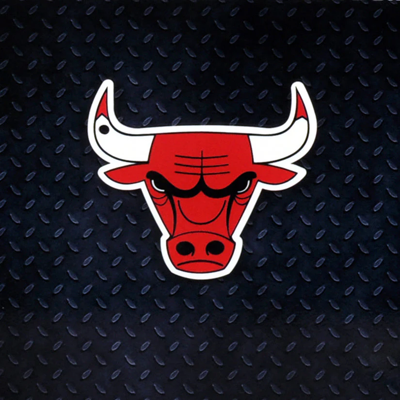 Chicago Bulls Steel Super Magnet