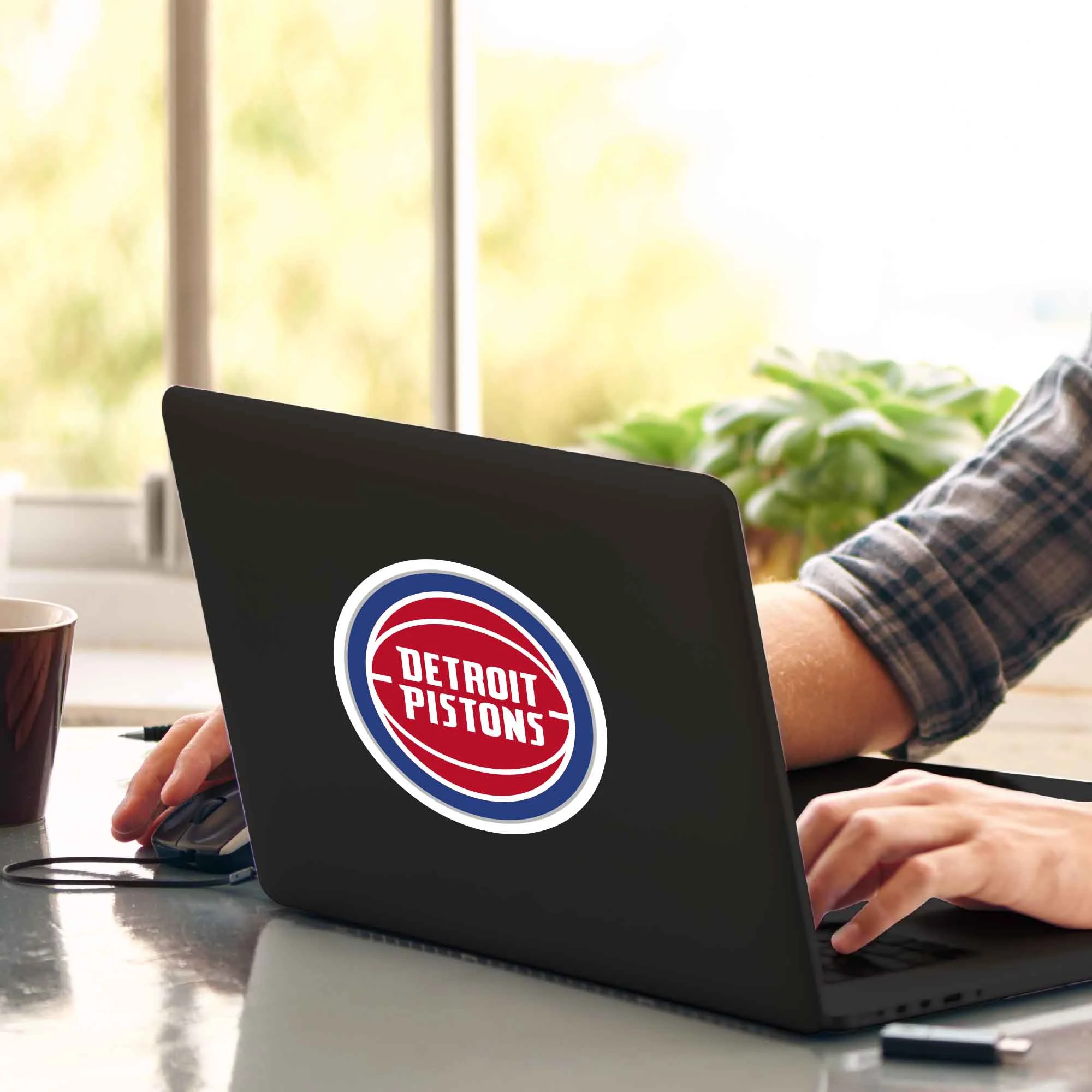 NBA - Detroit Pistons Matte Decal - Image 2