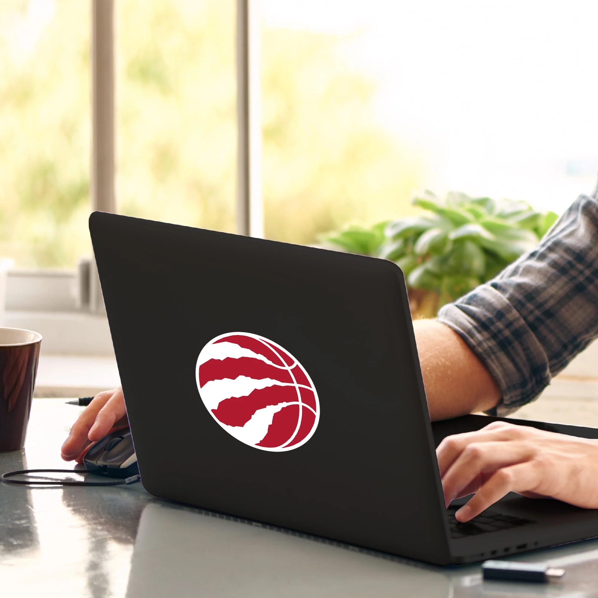 NBA - Toronto Raptors Matte Decal - Image 2