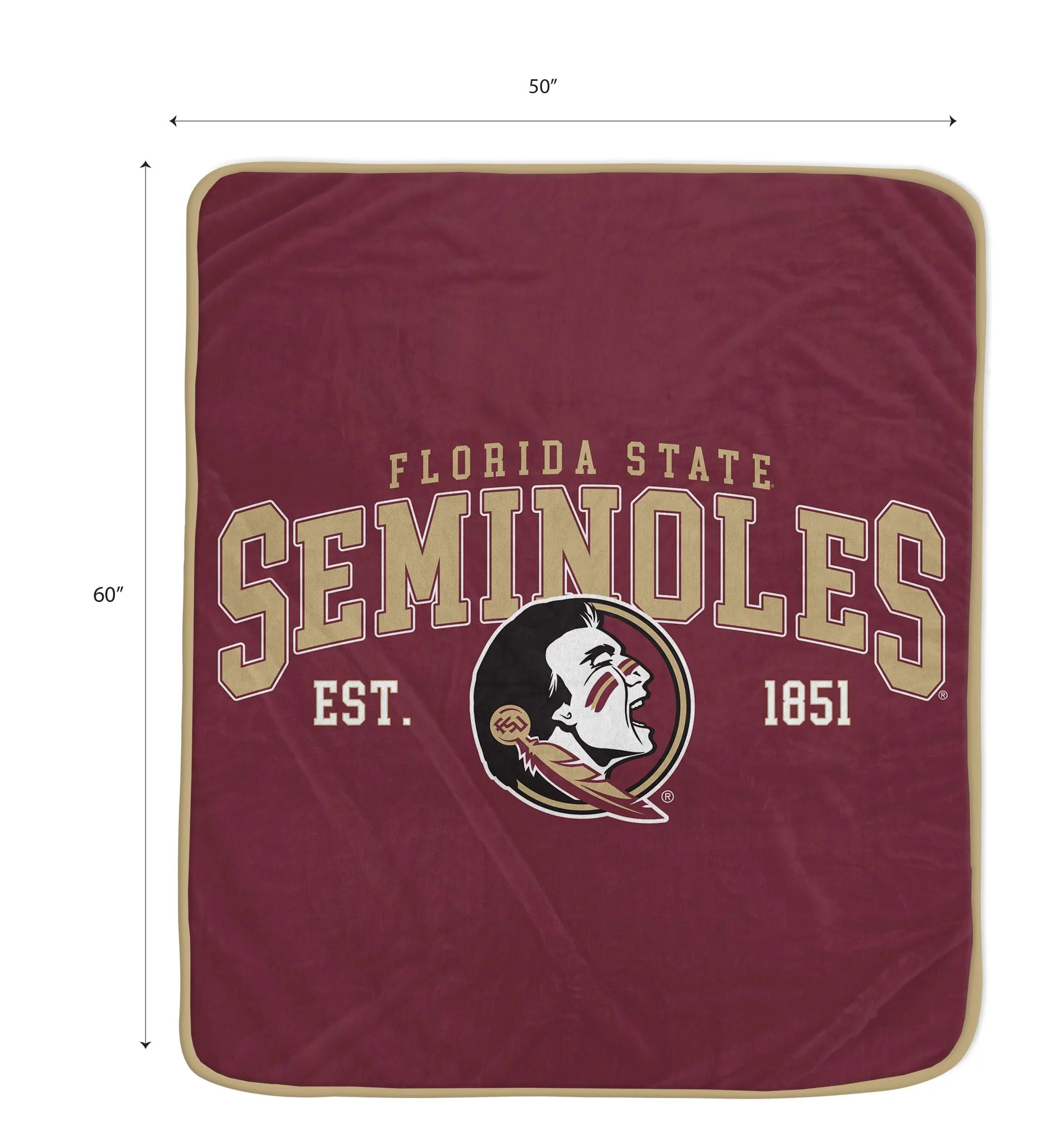 NCAA Florida State Seminoles Vintage Arch Block Ultra Soft Blanket - Image 2