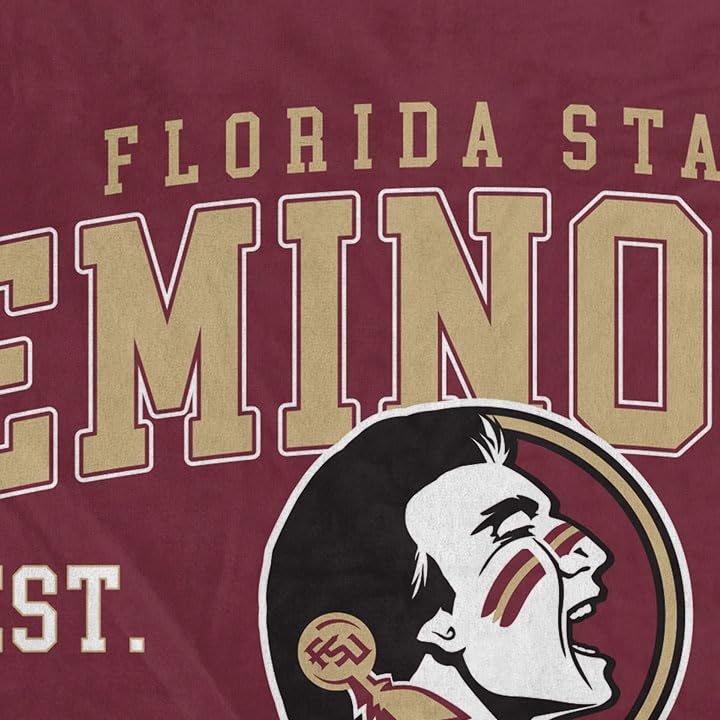 NCAA Florida State Seminoles Vintage Arch Block Ultra Soft Blanket - Image 3