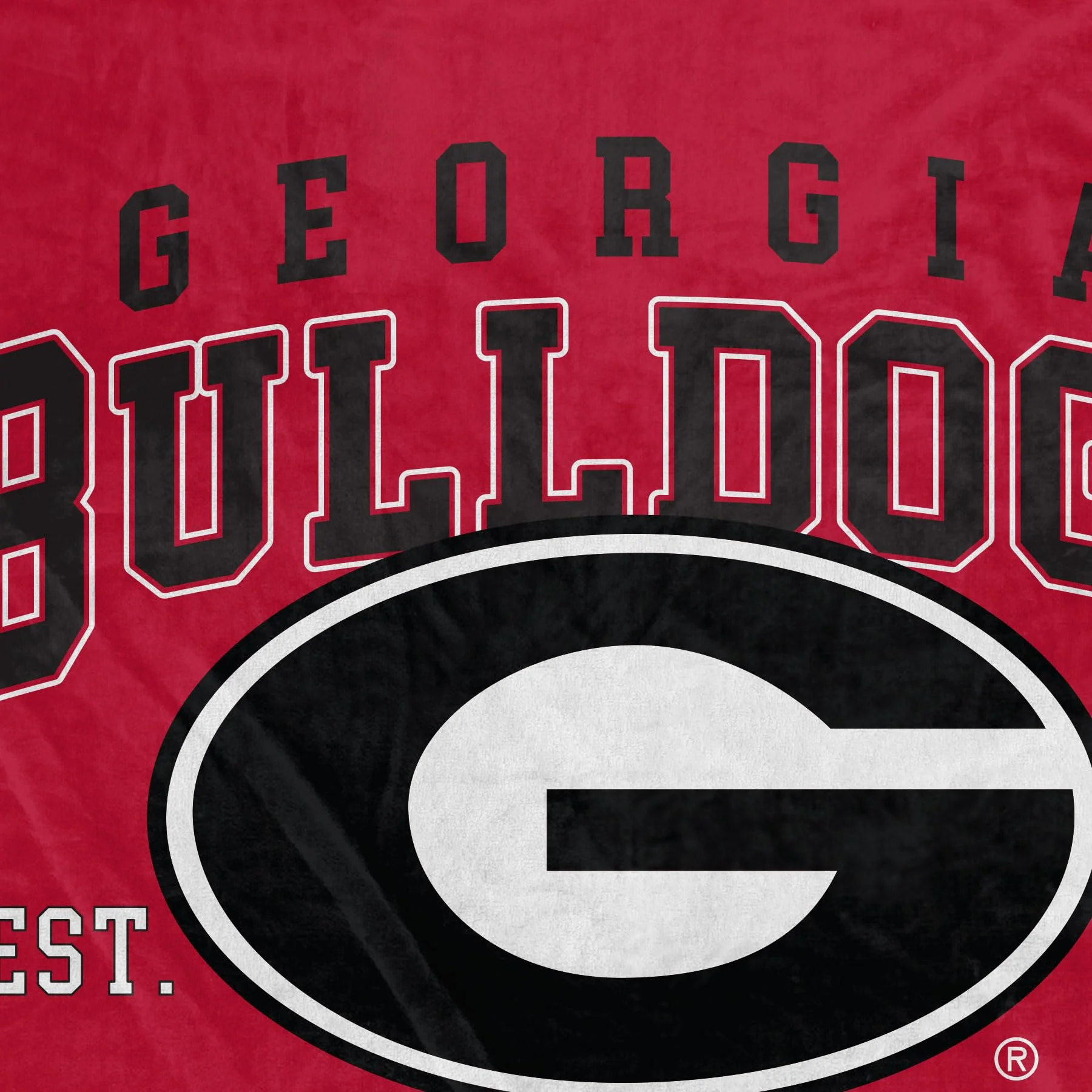NCAA Georgia Bulldogs Vintage Arch Block Ultra Soft Blanket - Image 3