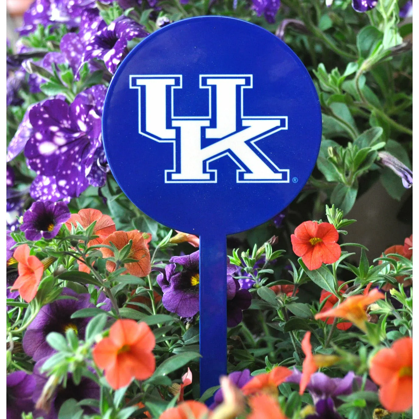 Kentucky Wildcats Blue Steel Garden Stake