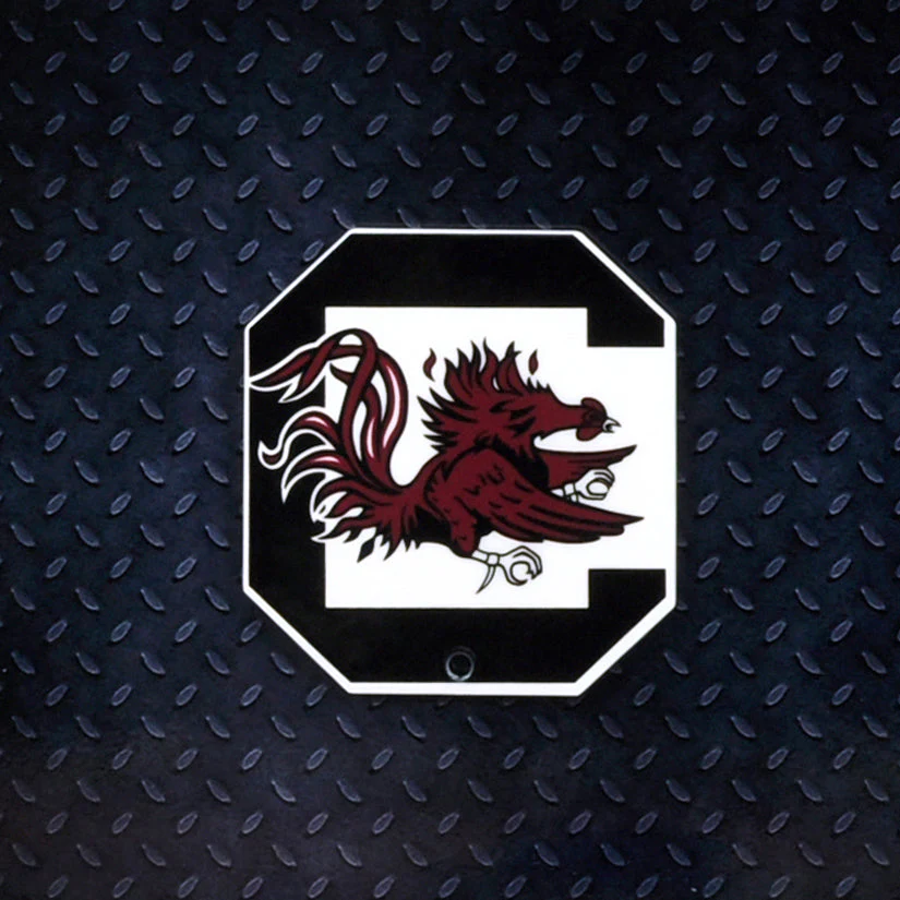 South Carolina Gamecocks Steel Super Magnet
