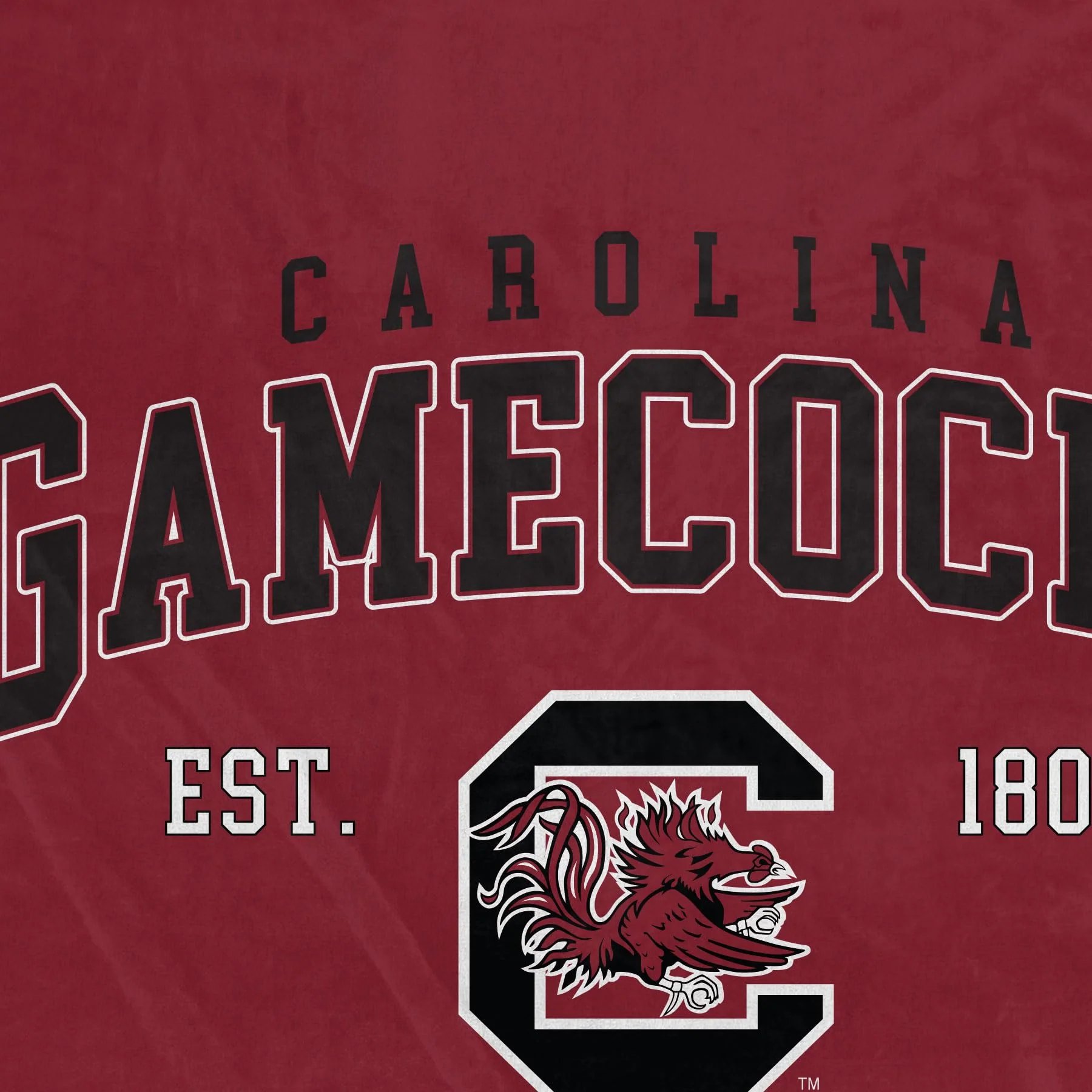 NCAA South Carolina Gamecocks Vintage Arch Block Ultra Soft Blanket - Image 3