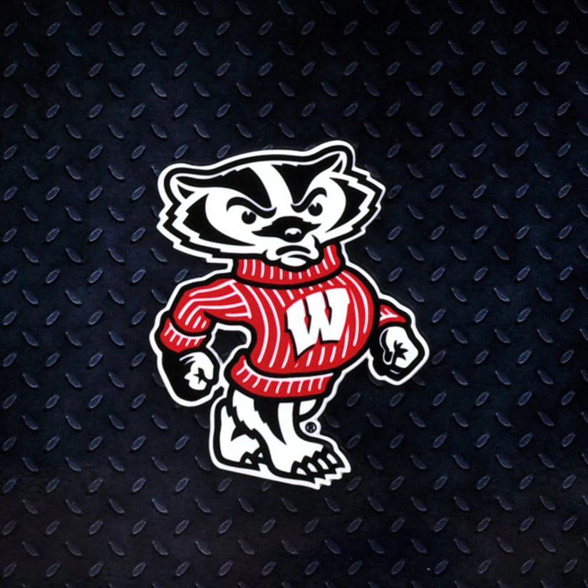 Wisconsin Badgers - Bucky Badger Steel Super Magnet