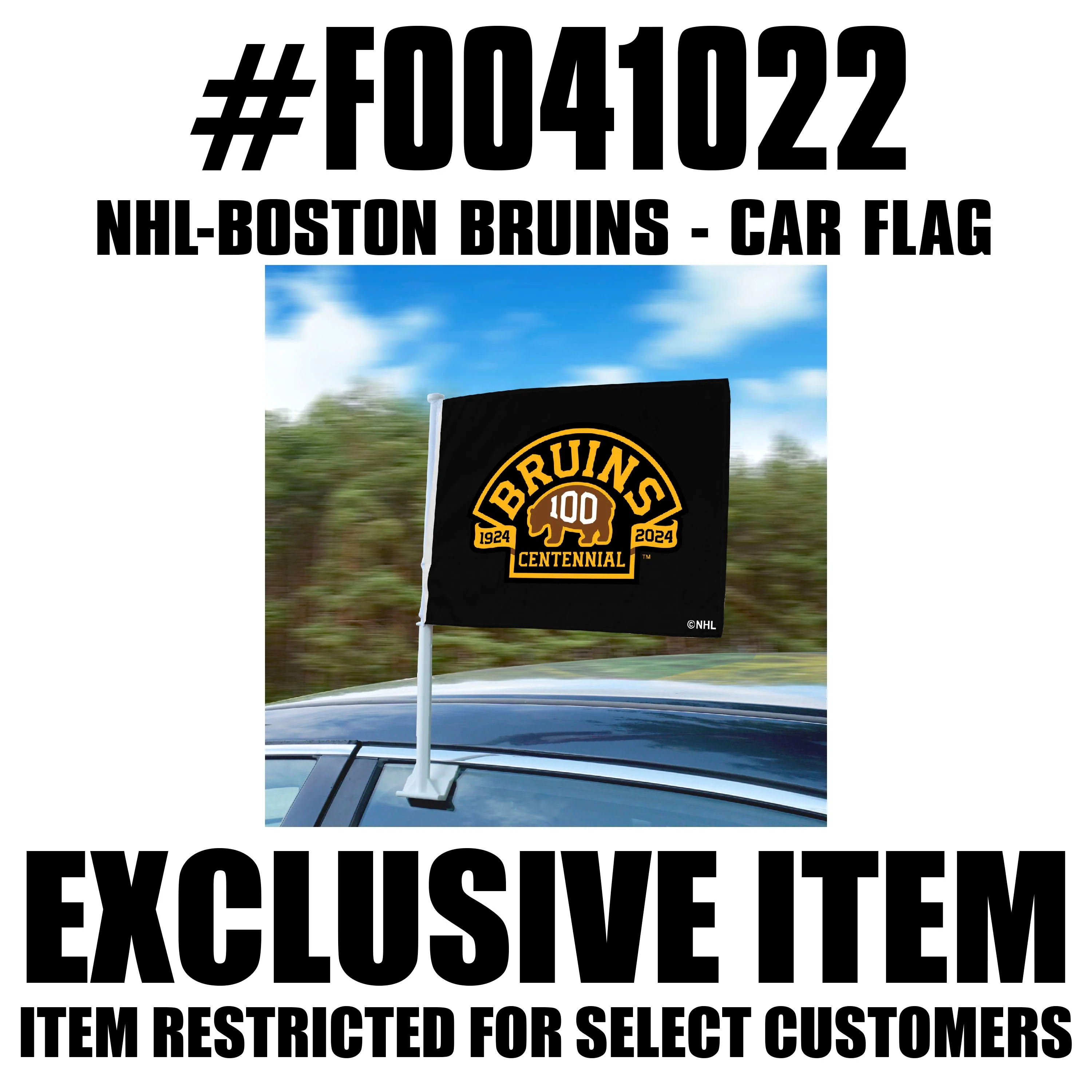 NHL - Boston Bruins Centennial Car Flag - Image 2