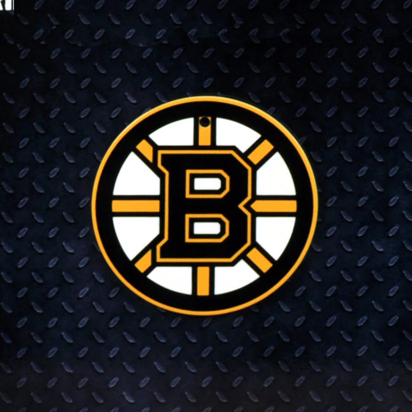Boston Bruins Steel Super Magnet