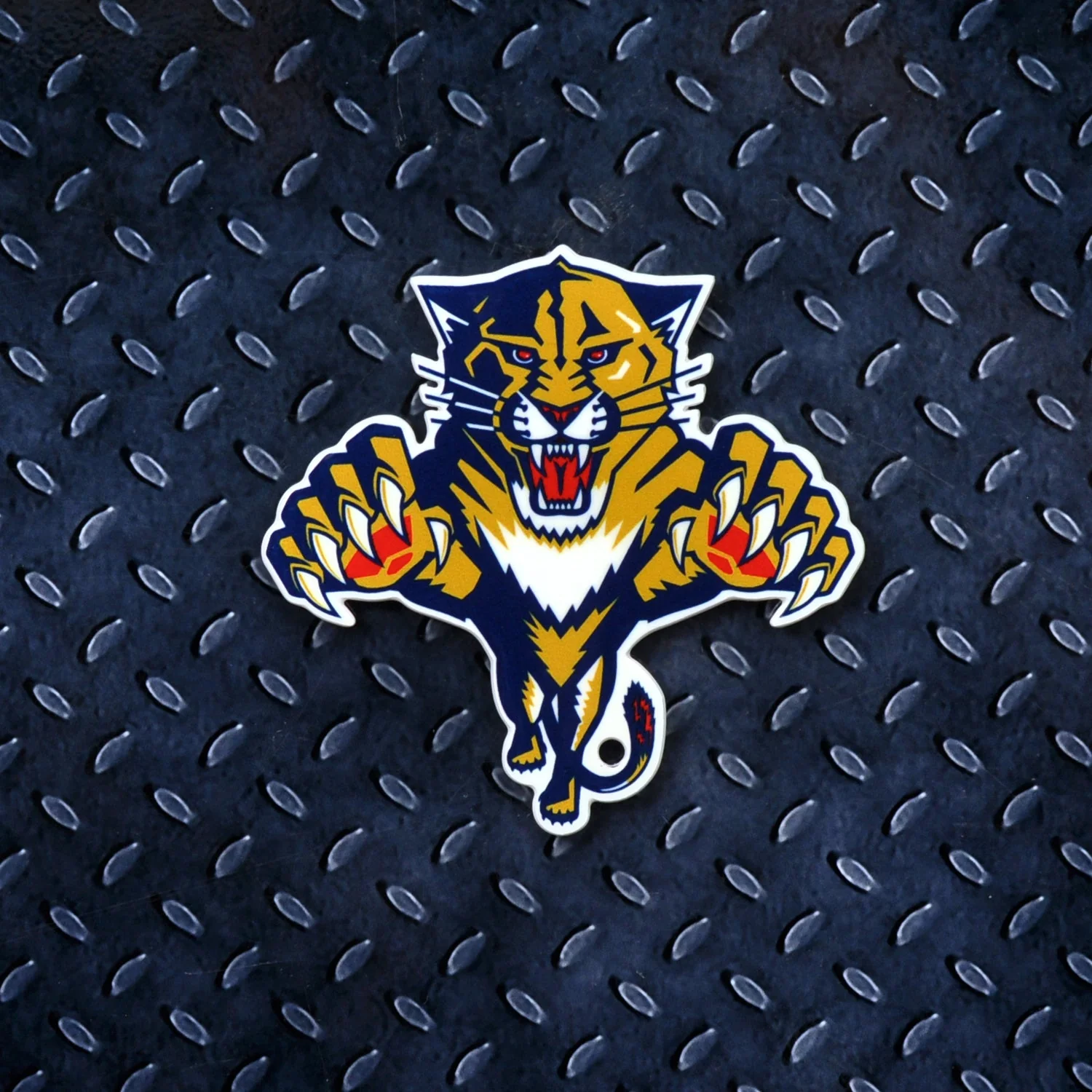 Florida Panthers Steel Super Magnet
