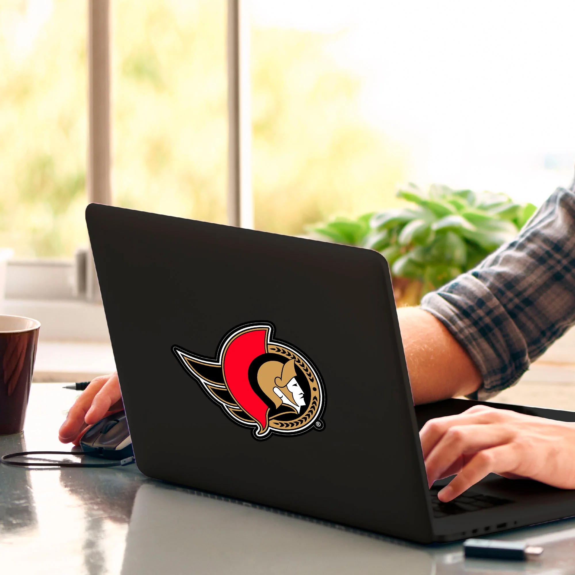 NHL - Ottawa Senators Matte Decal - Image 2