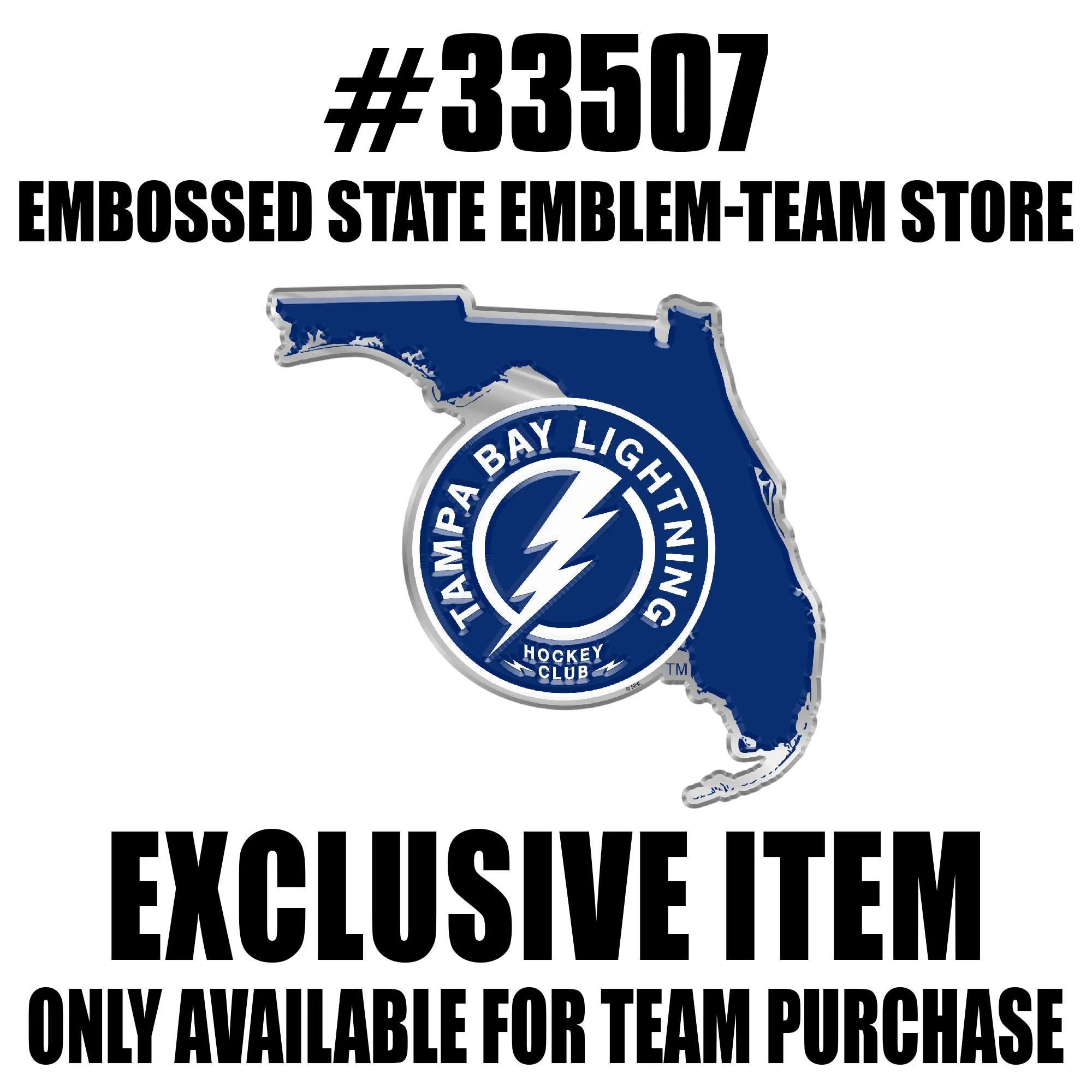 NHL - Tampa Bay Lightning Embossed State Emblem - Image 2