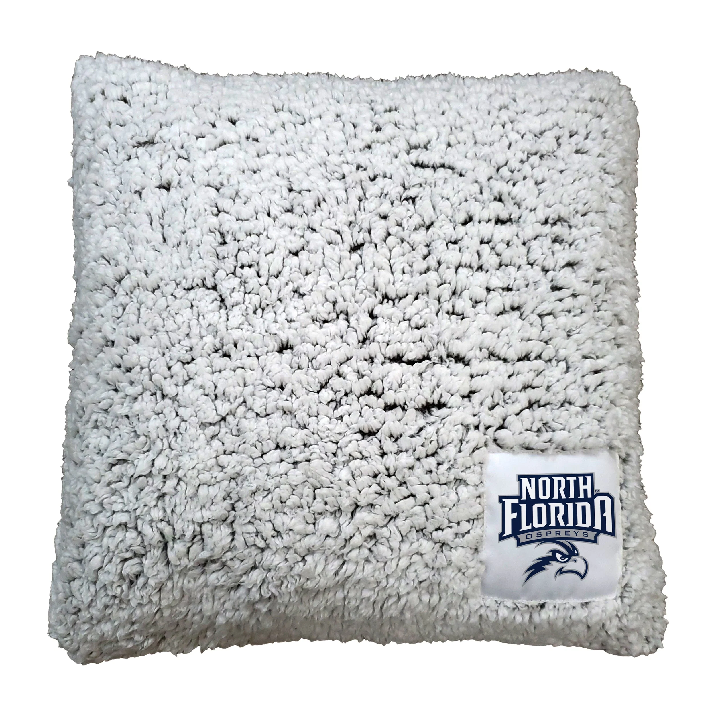 North Florida Frosty Throw Pillow
