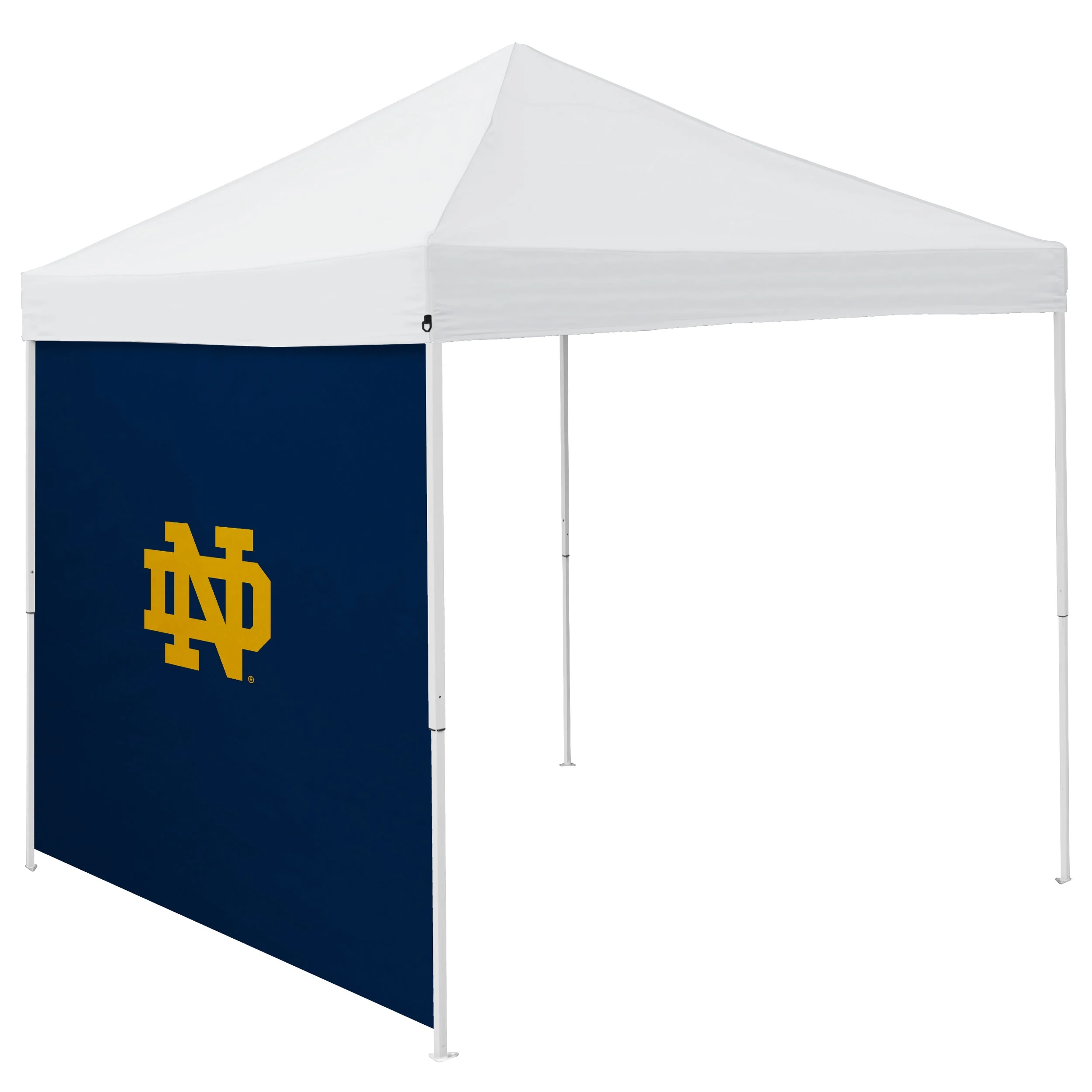 Notre Dame 9 x 9 Side Panel