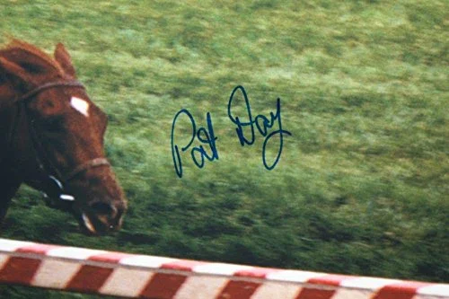 Pat Day Patrick Valenzuela Autographed 16x20 Racing Photo- JSA W Authenticated - Image 3