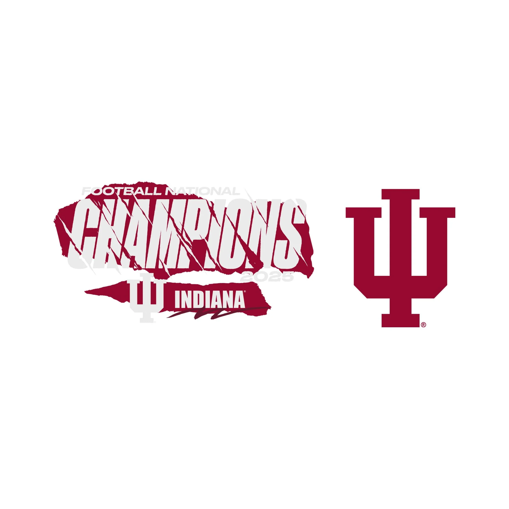 Rico Industries NCAA Indiana Hoosiers 2026 Football National Champions 16-oz Can Shaped Glass - Image 5