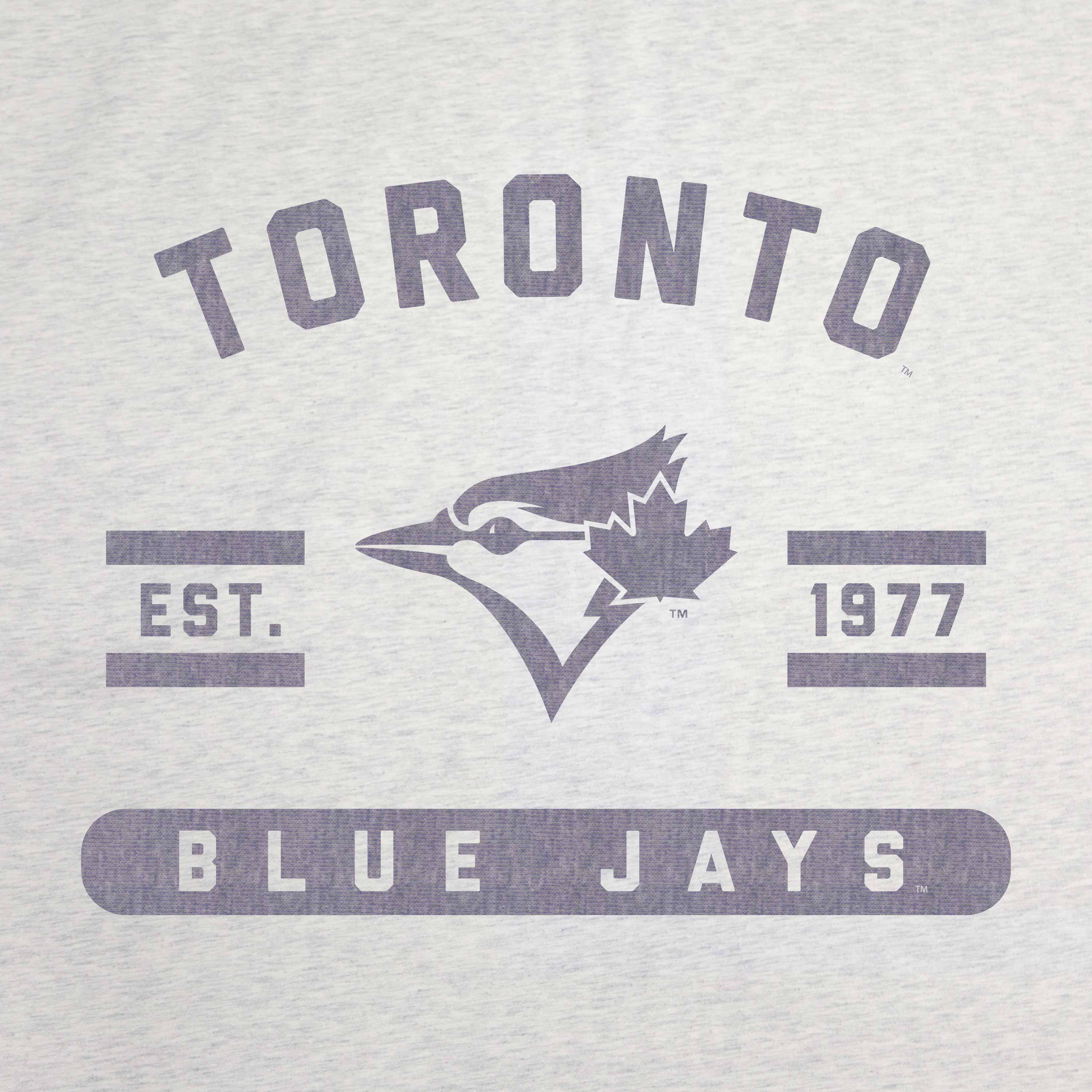 Toronto Blue Jays Oatmeal Sweatshirt Blanket - Image 2